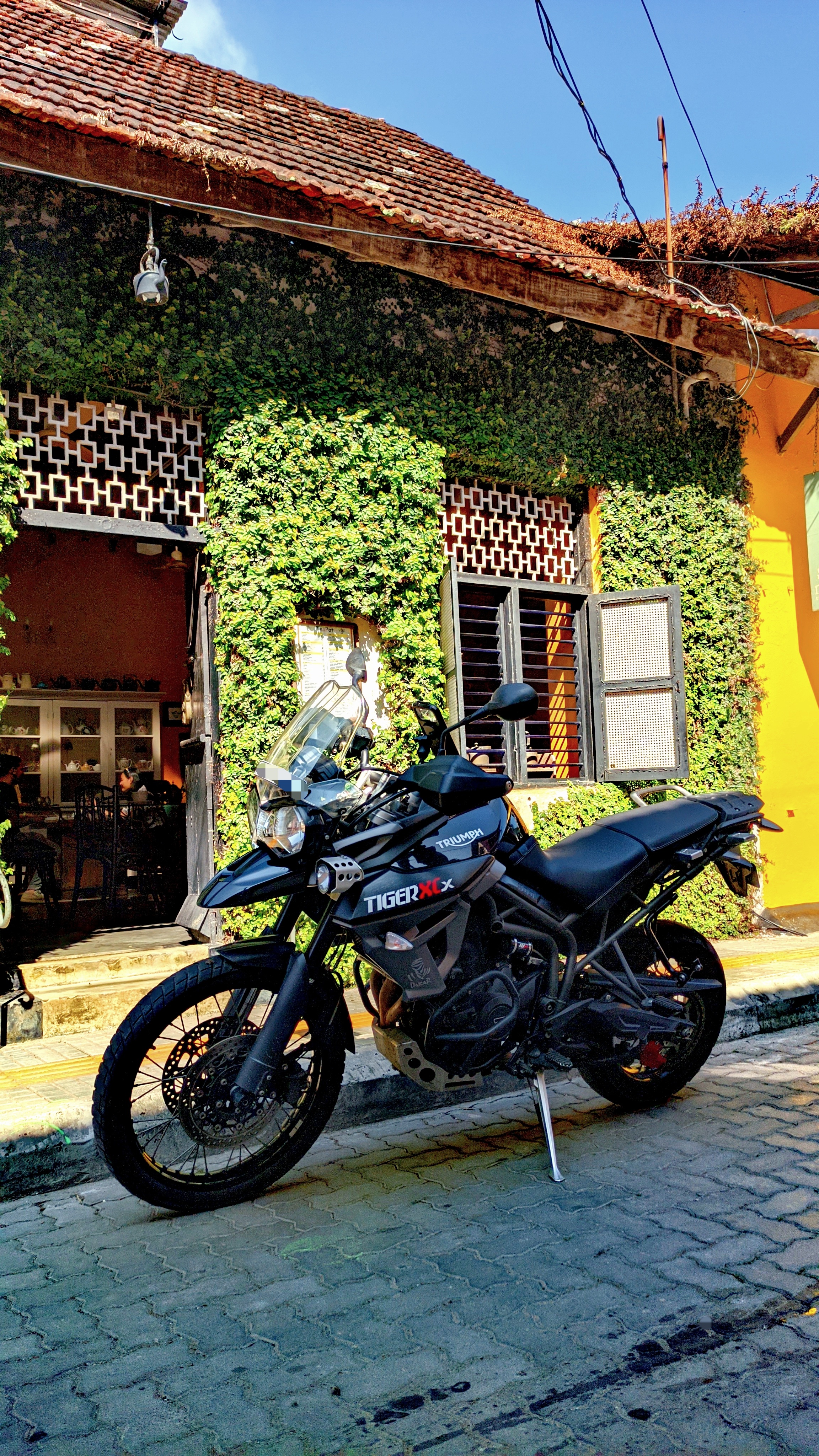 Triumph Tiger 800 xcx